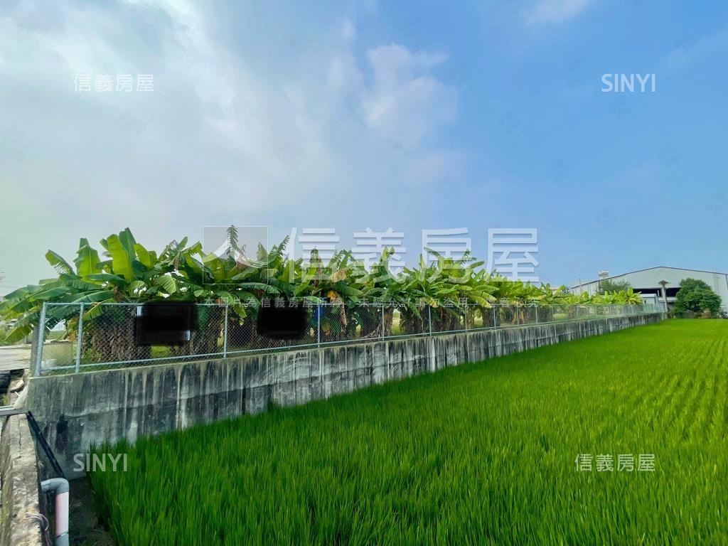 近中投方正農地房屋室內格局與周邊環境