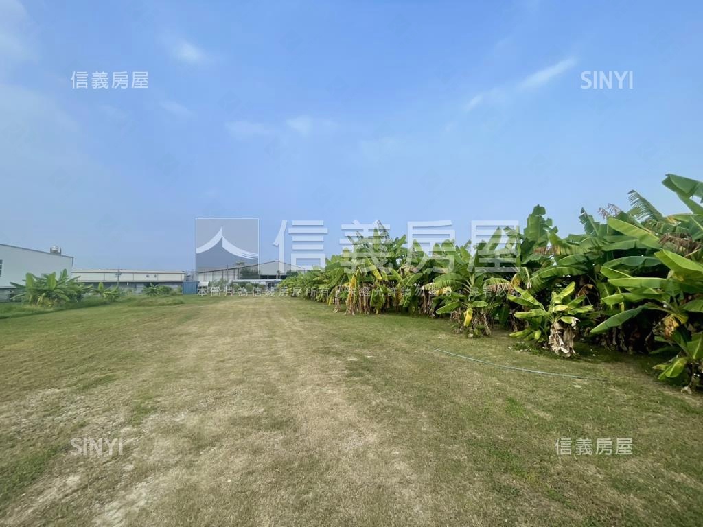 近中投方正農地房屋室內格局與周邊環境