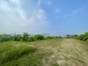 近中投方正農地