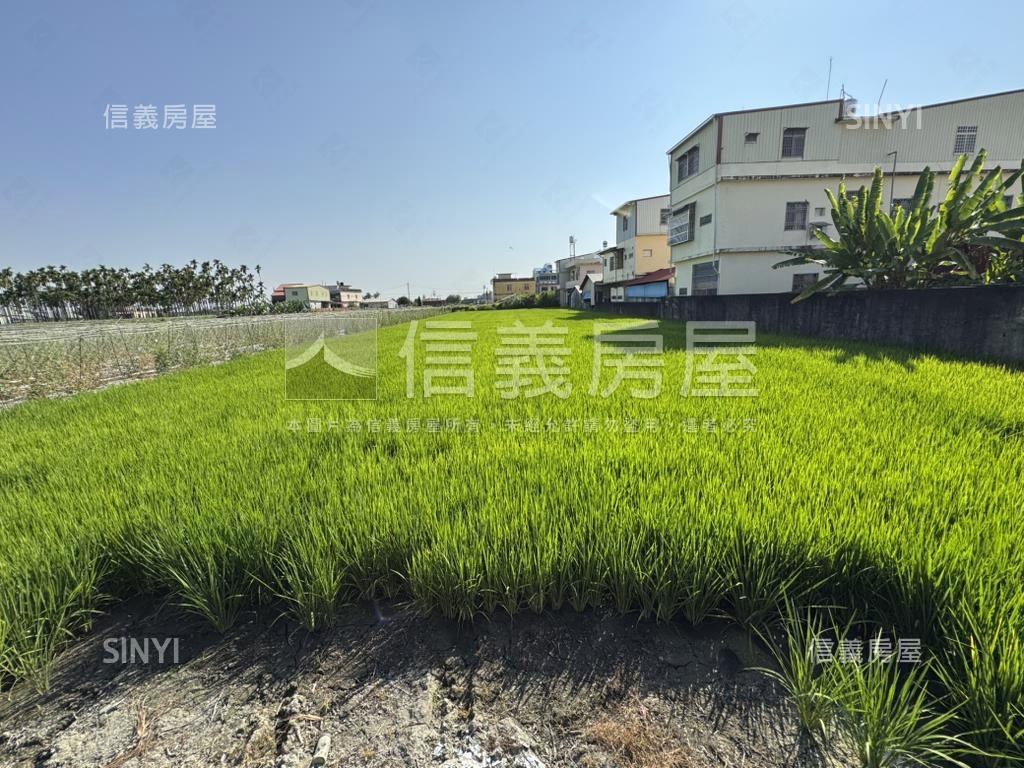 美濃方正農地房屋室內格局與周邊環境