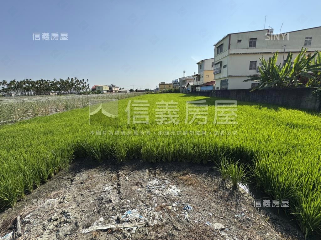 美濃方正農地房屋室內格局與周邊環境