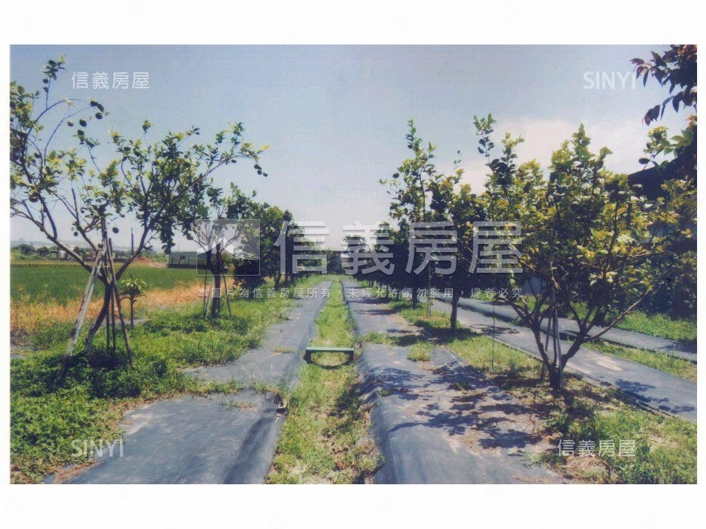 后里有電有自來水農地房屋室內格局與周邊環境