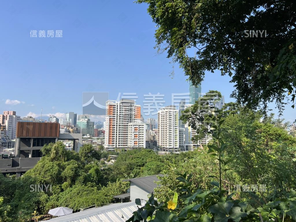 信義區稀有土地房屋室內格局與周邊環境