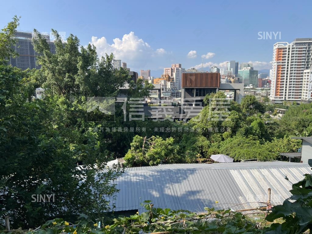 信義區稀有土地房屋室內格局與周邊環境