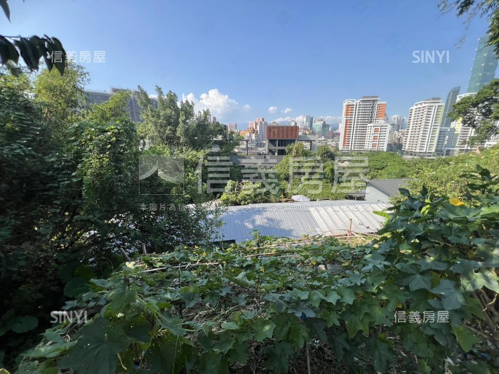 信義區稀有土地房屋室內格局與周邊環境