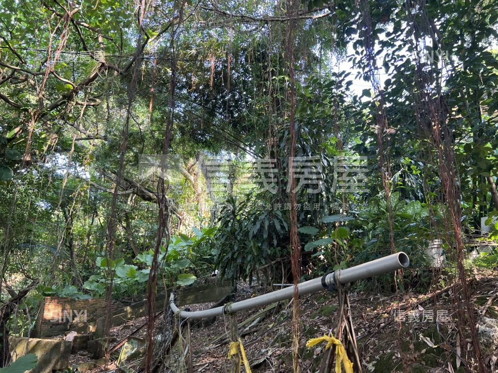 信義區稀有土地房屋室內格局與周邊環境