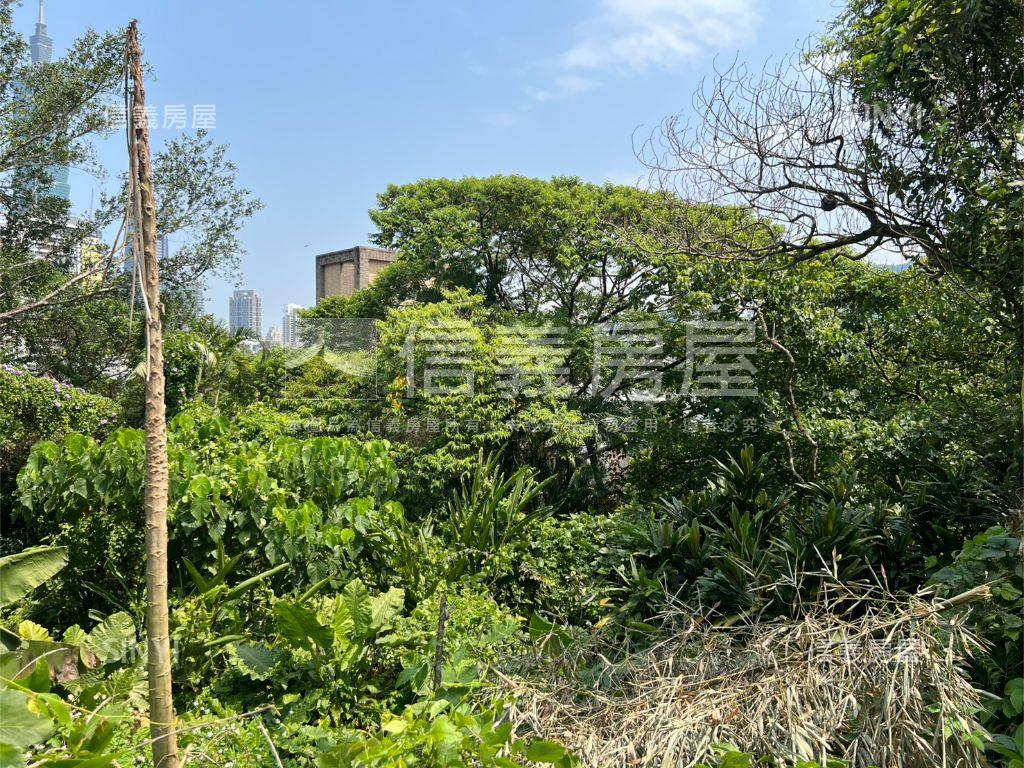 信義區稀有土地房屋室內格局與周邊環境