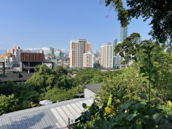 信義區稀有土地