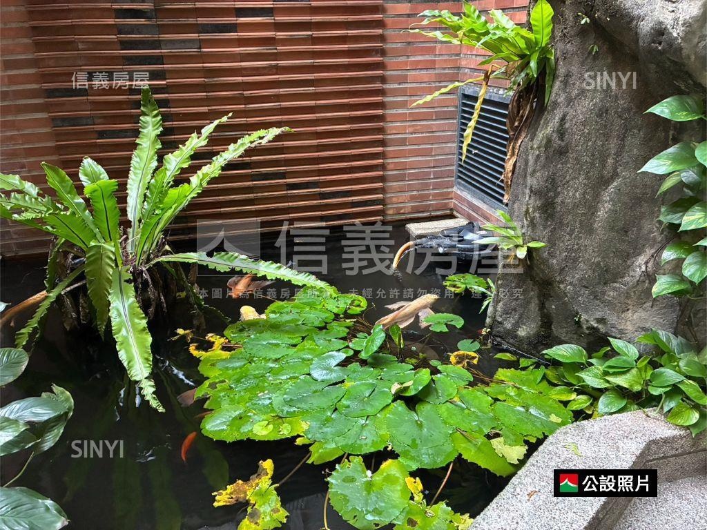 中央水岸巴黎美四房車位房屋室內格局與周邊環境