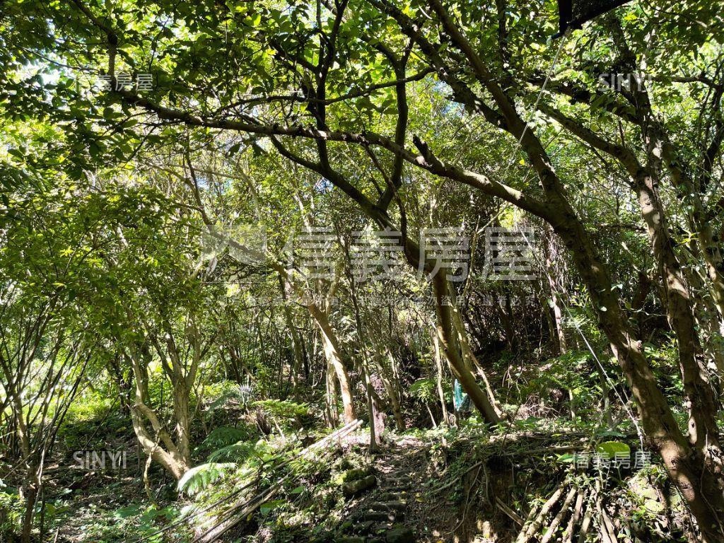 麗山段土地２房屋室內格局與周邊環境