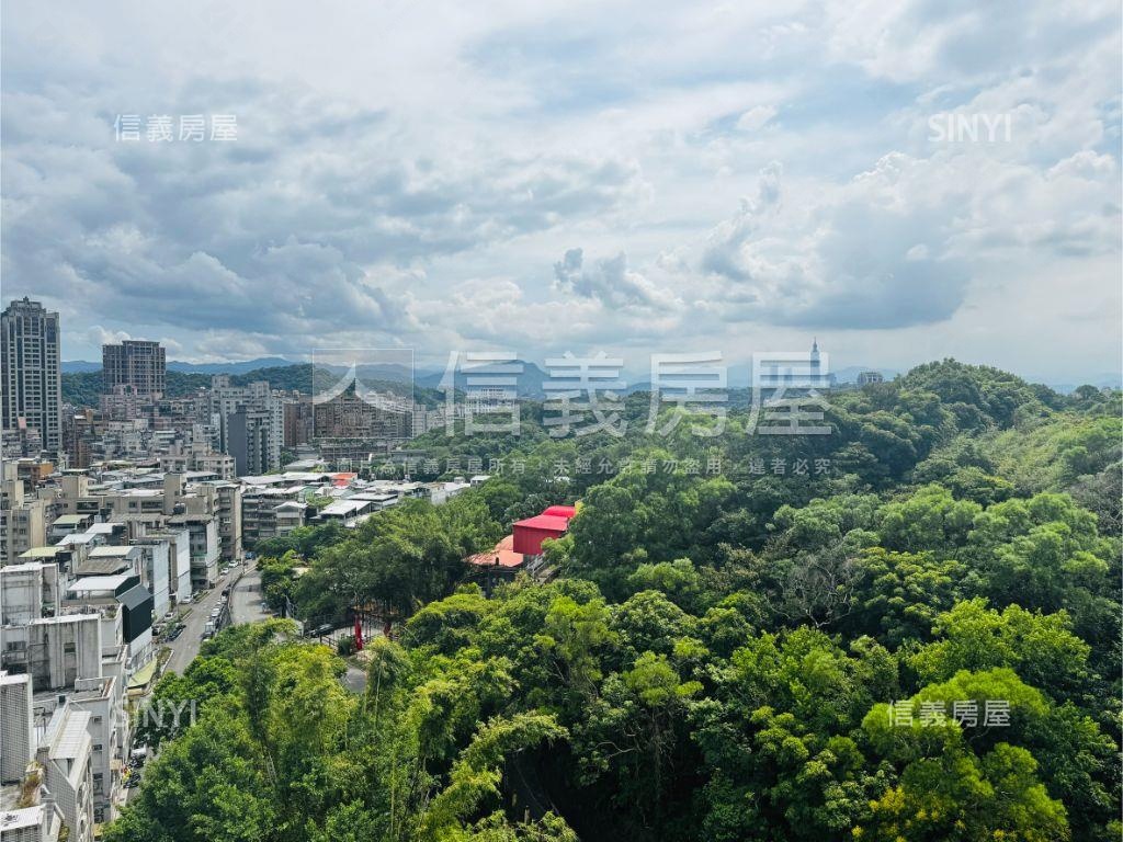 專任森林兩房高樓景觀美屋房屋室內格局與周邊環境