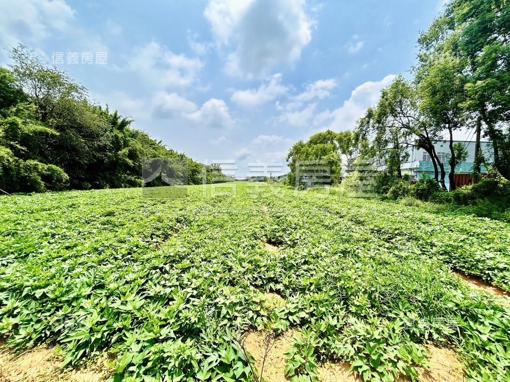 清水區神清路農地房屋室內格局與周邊環境