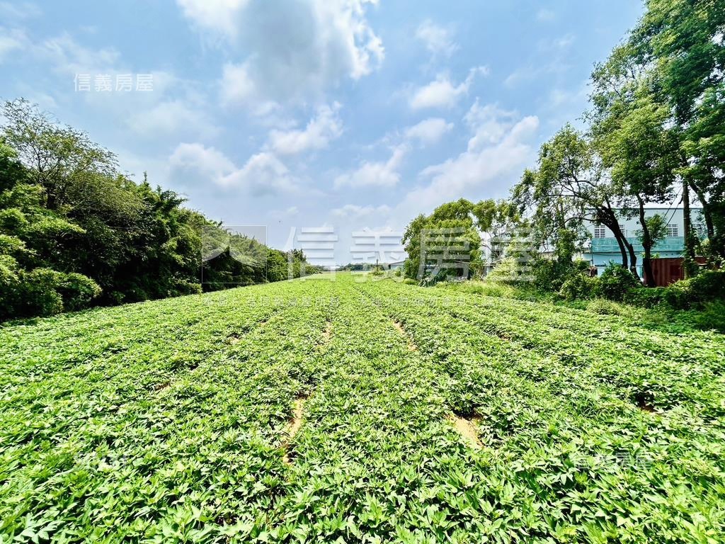 清水區神清路農地房屋室內格局與周邊環境