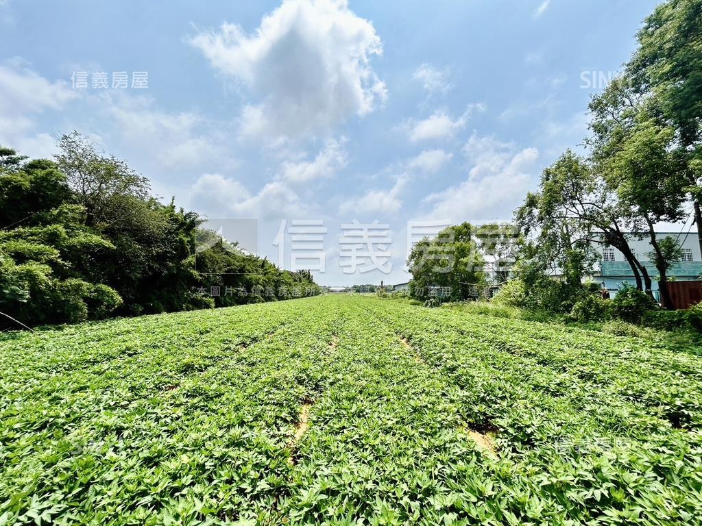 清水區神清路農地房屋室內格局與周邊環境