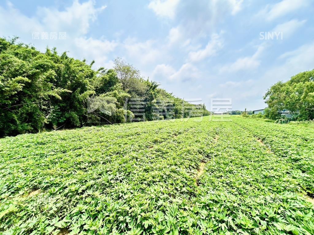 清水區神清路農地房屋室內格局與周邊環境