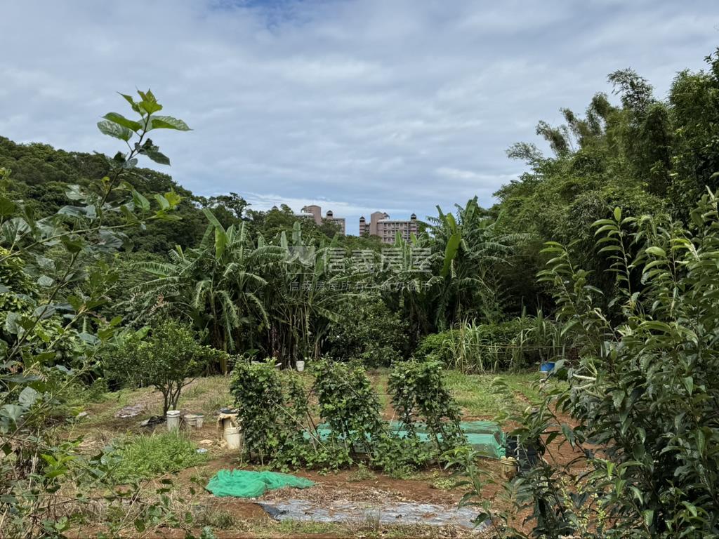 三芝芝蘭田園土地房屋室內格局與周邊環境