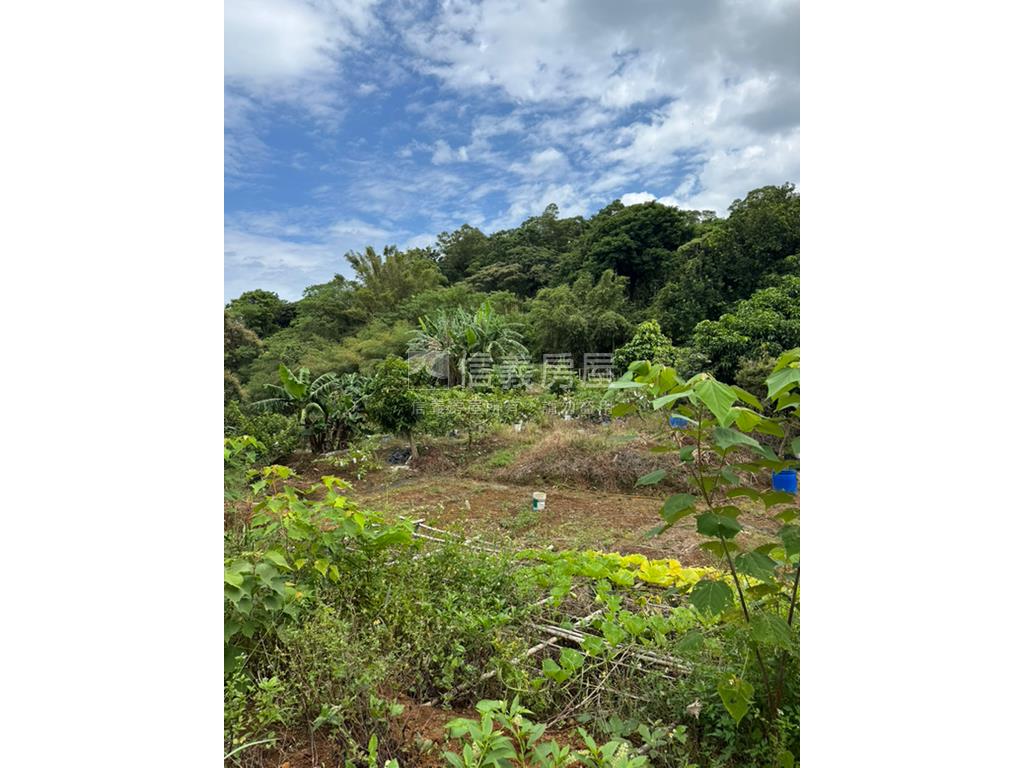 三芝芝蘭田園土地房屋室內格局與周邊環境