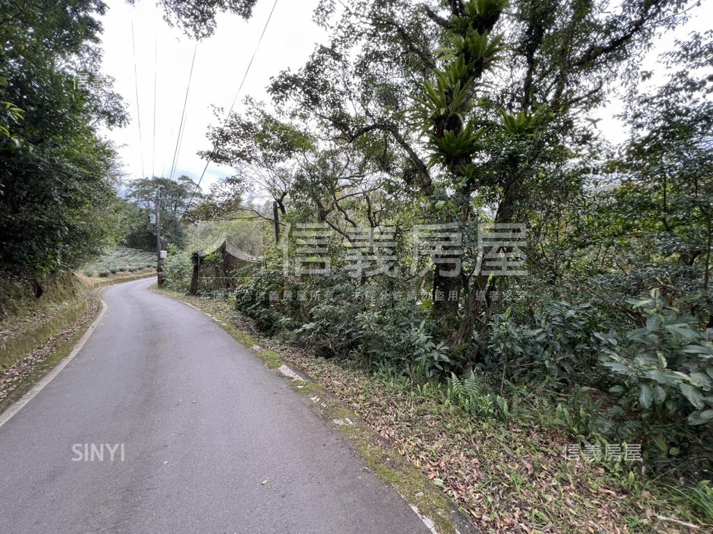［石碇小格頭段土巷小段］房屋室內格局與周邊環境