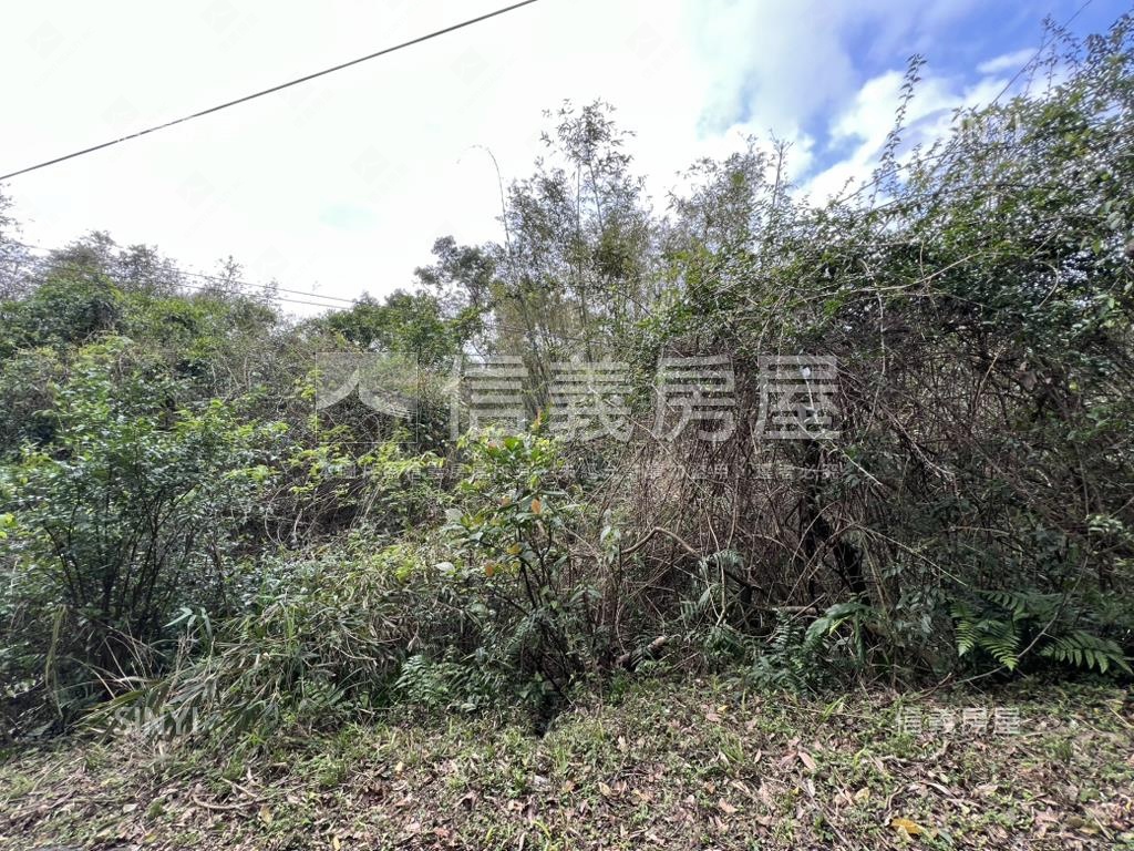 ［石碇小格頭段土巷小段］房屋室內格局與周邊環境