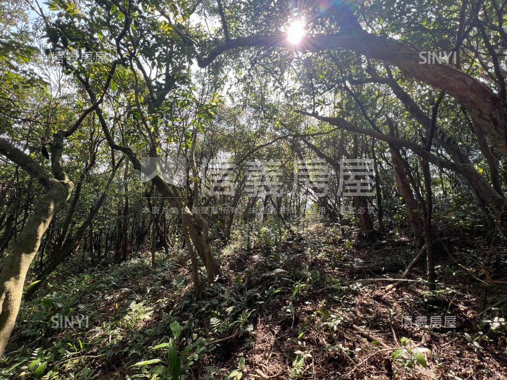 基隆之眼千坪休閒農地房屋室內格局與周邊環境