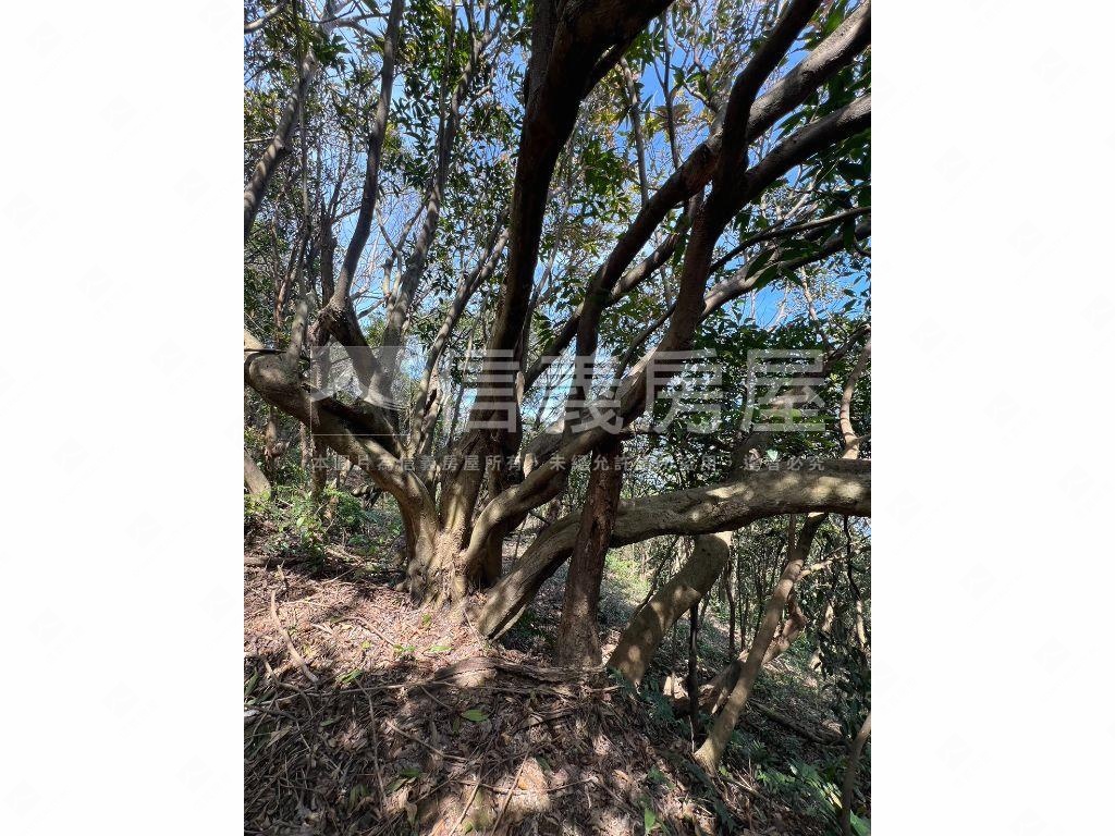 基隆之眼千坪休閒農地房屋室內格局與周邊環境