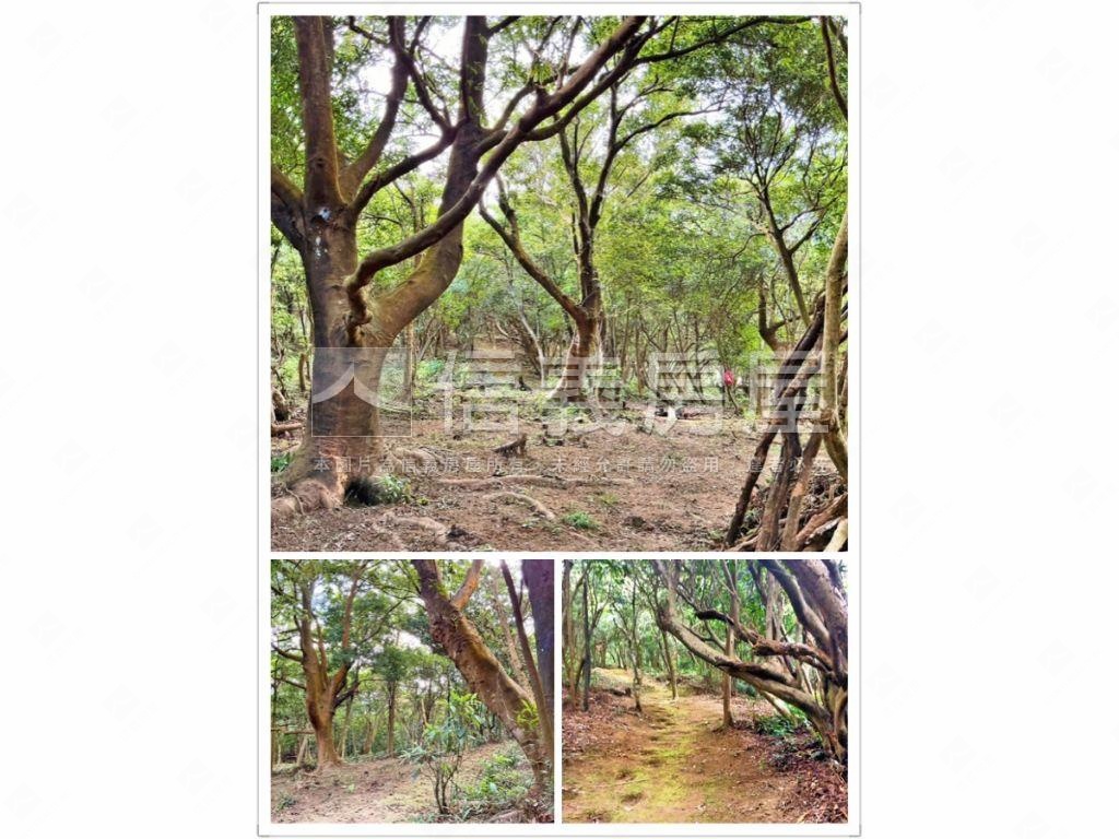 基隆之眼千坪休閒農地房屋室內格局與周邊環境