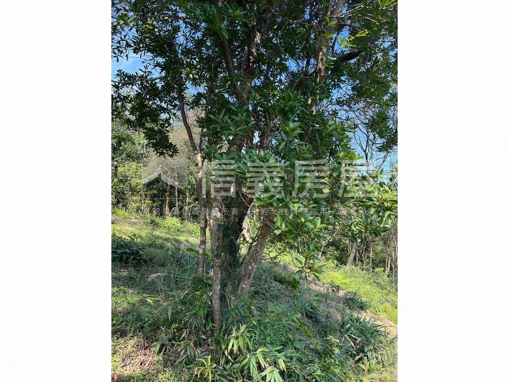 基隆之眼千坪休閒農地房屋室內格局與周邊環境