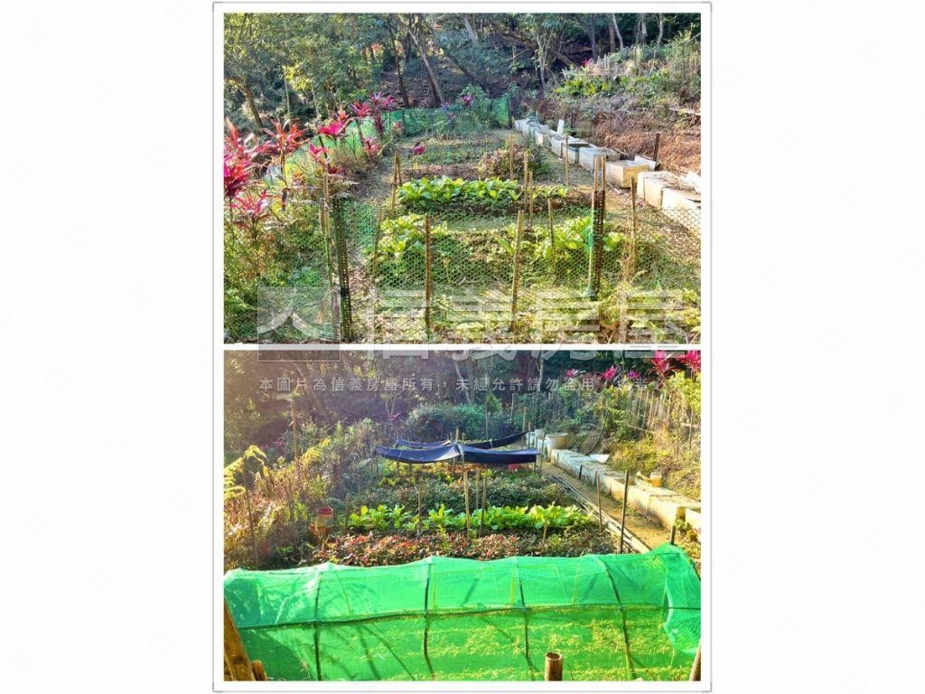 基隆之眼千坪休閒農地房屋室內格局與周邊環境