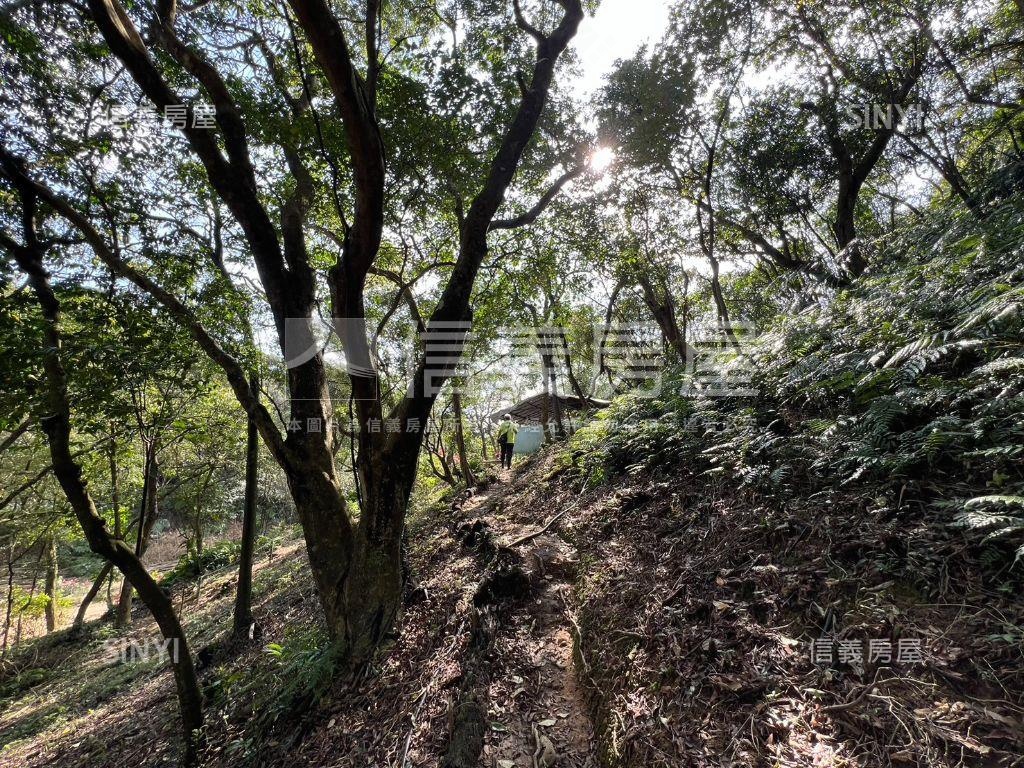 基隆之眼千坪休閒農地房屋室內格局與周邊環境