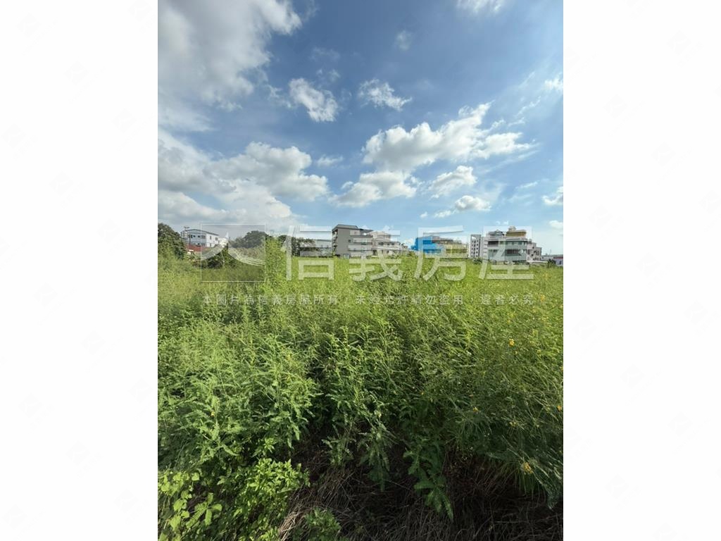 新市縫合區土地房屋室內格局與周邊環境