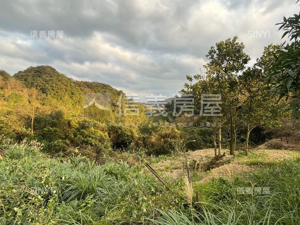 七堵優質１１８４坪農地房屋室內格局與周邊環境