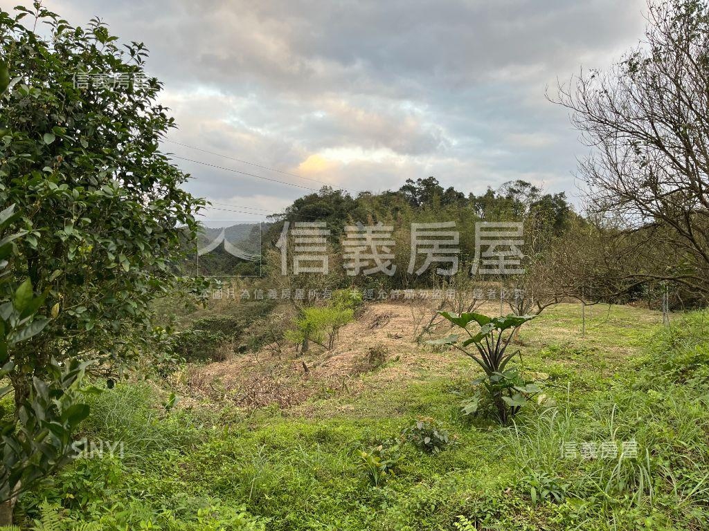七堵優質１１８４坪農地房屋室內格局與周邊環境
