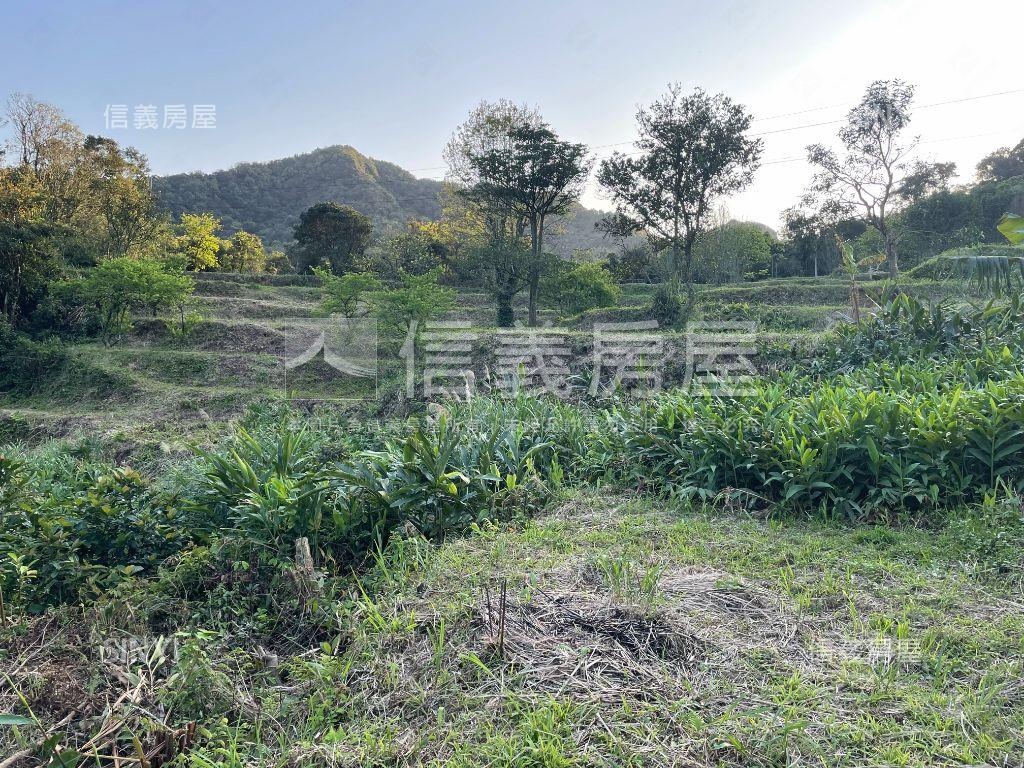七堵優質１１８４坪農地房屋室內格局與周邊環境