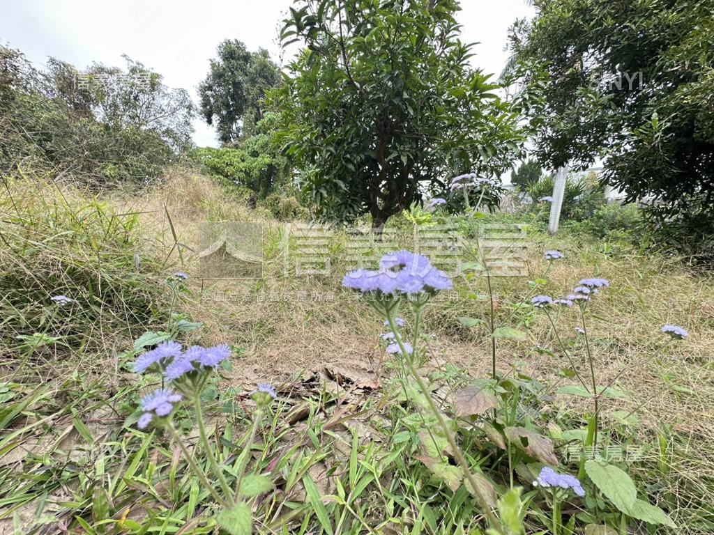 台南新化近國八三臨路土地房屋室內格局與周邊環境