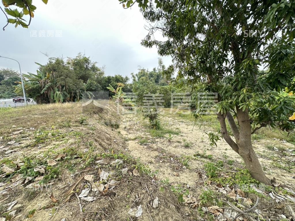 台南新化近國八三臨路土地房屋室內格局與周邊環境