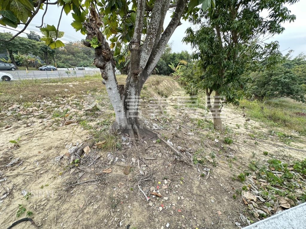 台南新化近國八三臨路土地房屋室內格局與周邊環境