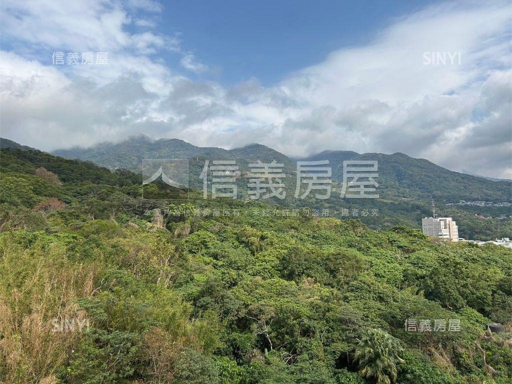 保誠一靚山景好屋三車位房屋室內格局與周邊環境