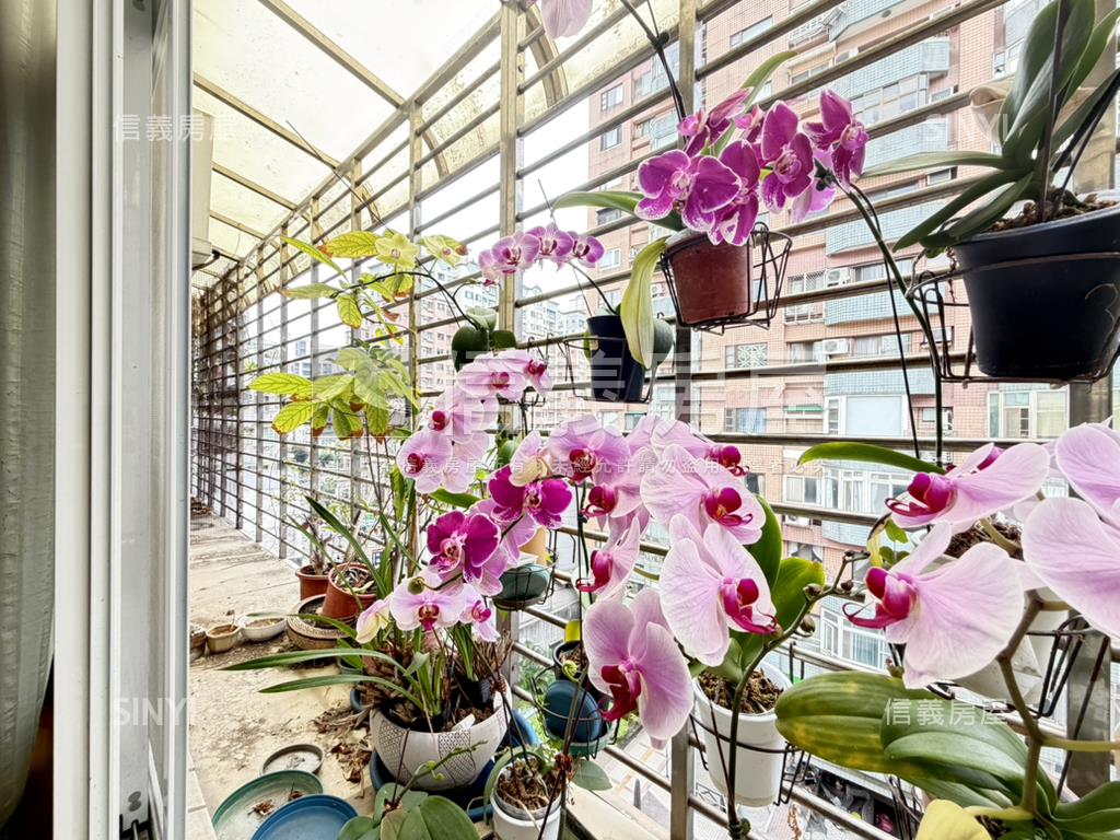 永安公園邊間電梯頂加大戶房屋室內格局與周邊環境