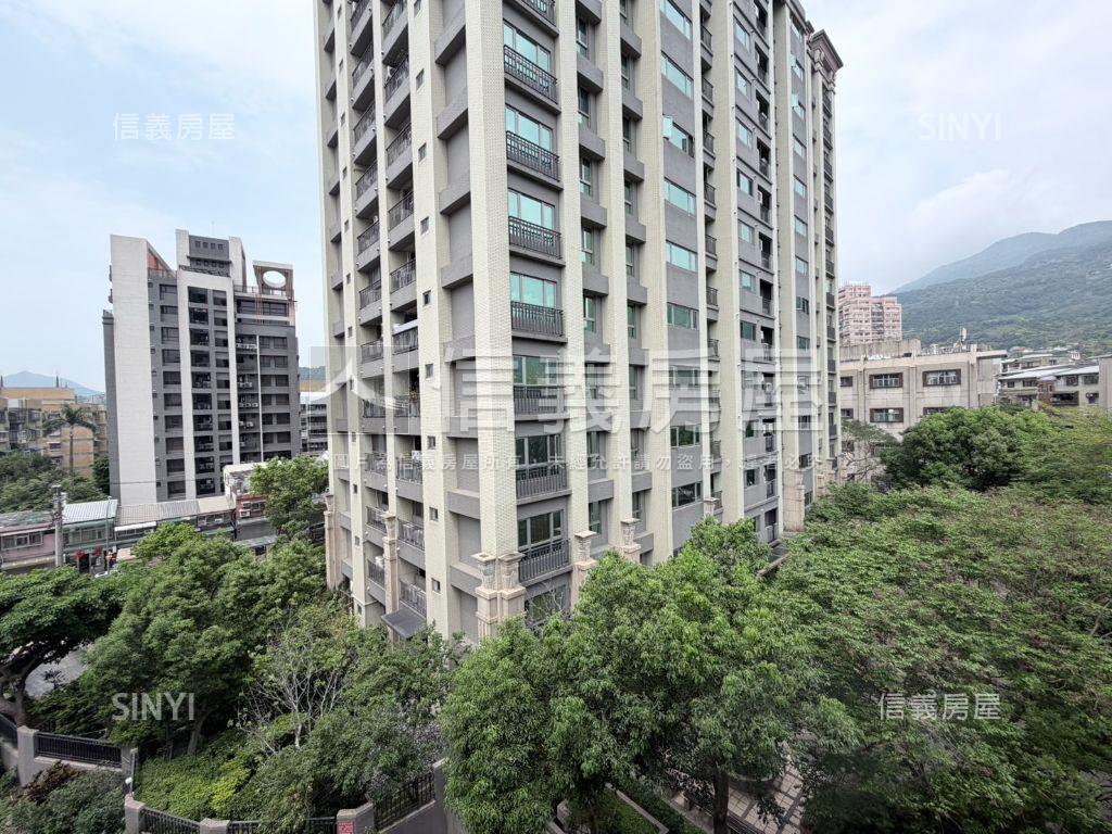 大同街必看樹景頂加房屋室內格局與周邊環境