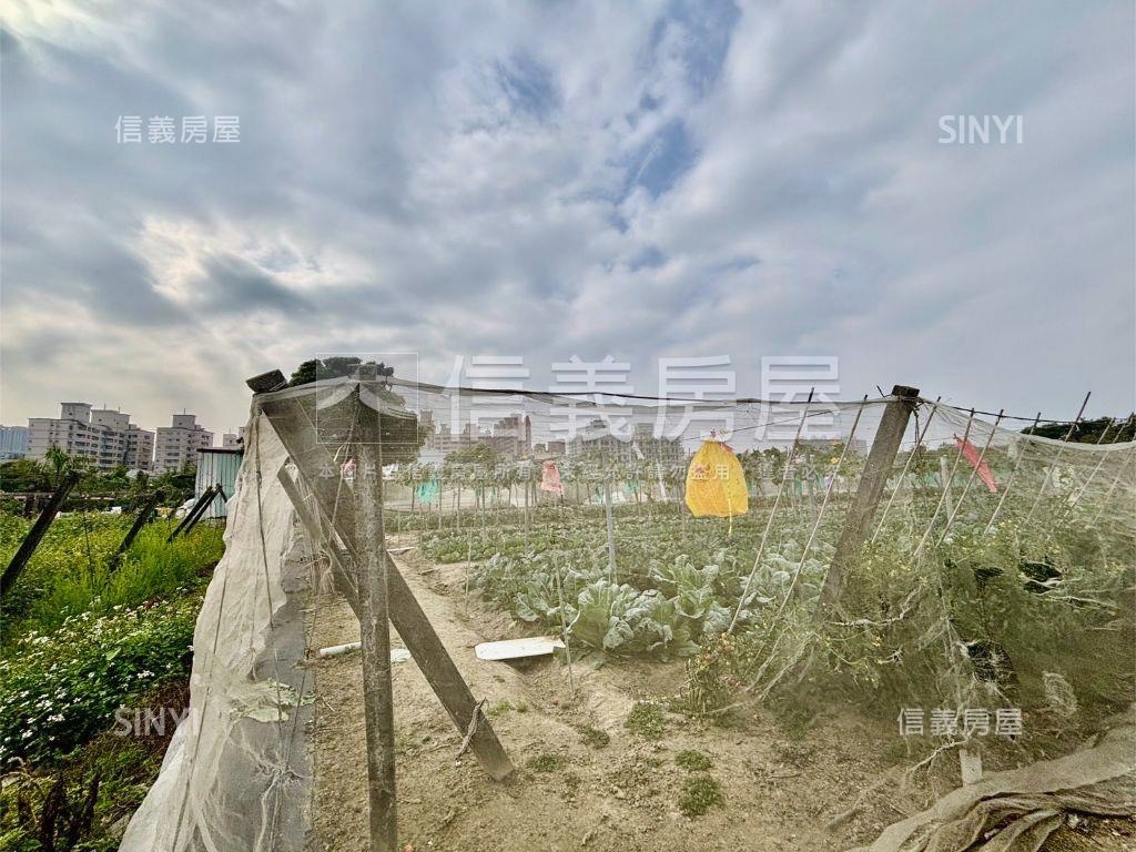 重劃區旁７４８坪大社土地房屋室內格局與周邊環境