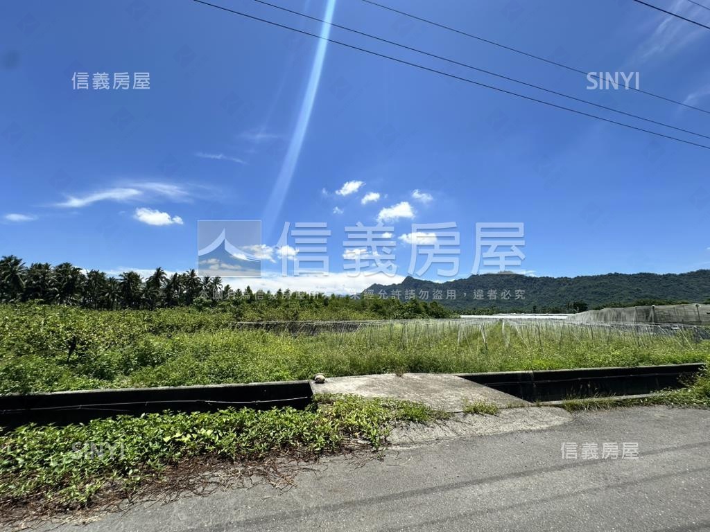 旗山百坪方正農地房屋室內格局與周邊環境
