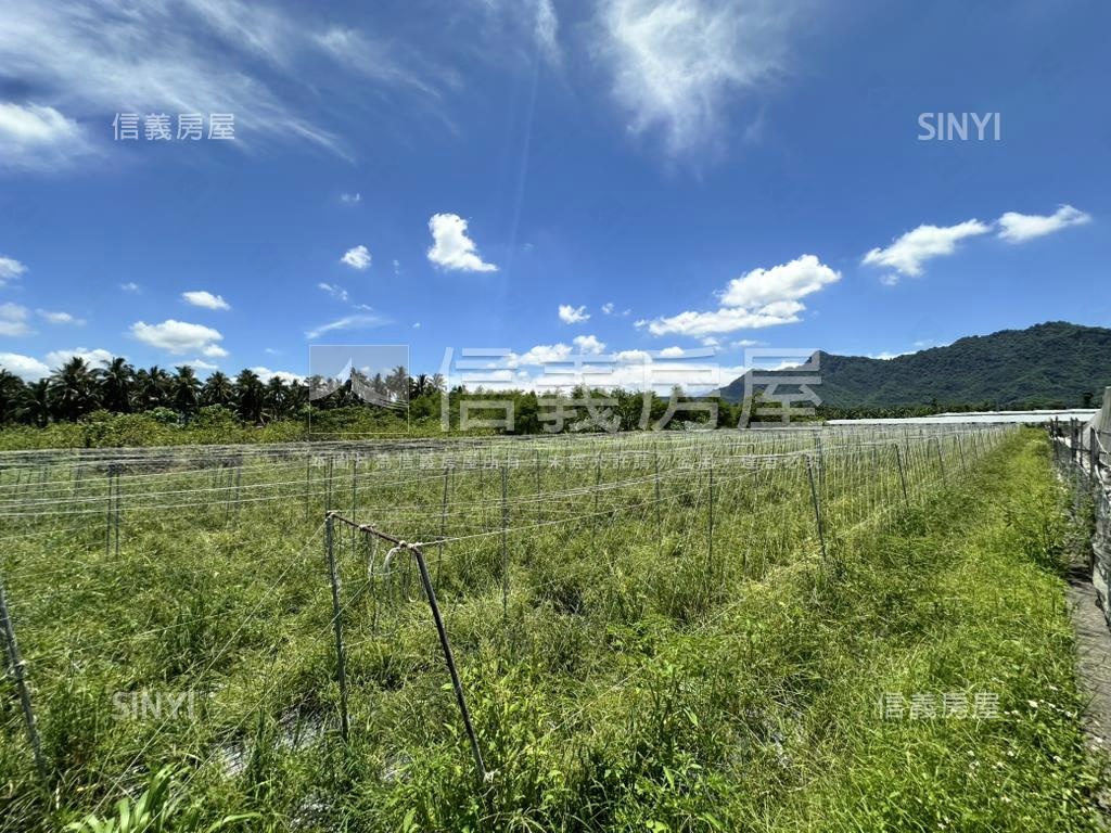 旗山百坪方正農地房屋室內格局與周邊環境
