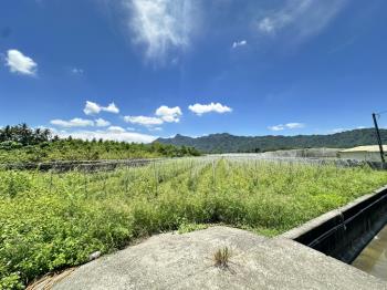 旗山百坪方正農地