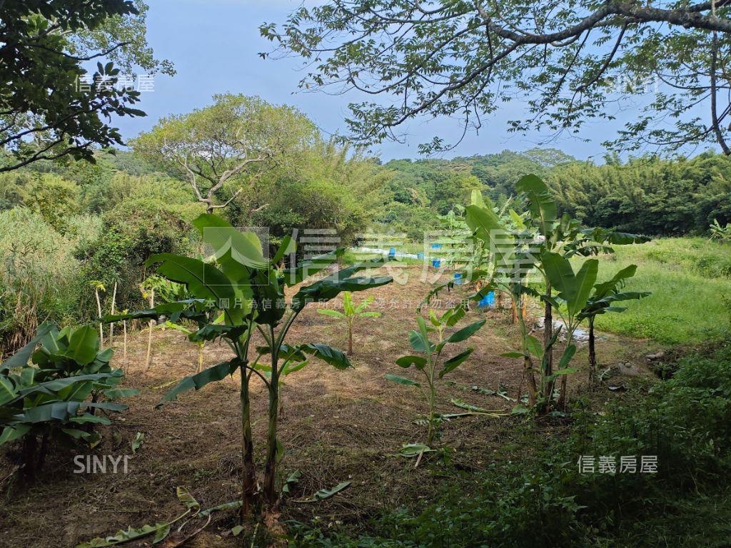瑞坪路農地有道路房屋室內格局與周邊環境