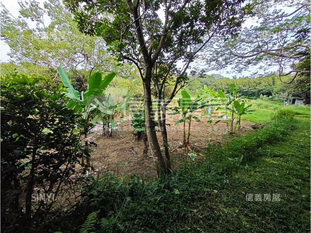 瑞坪路農地有道路房屋室內格局與周邊環境