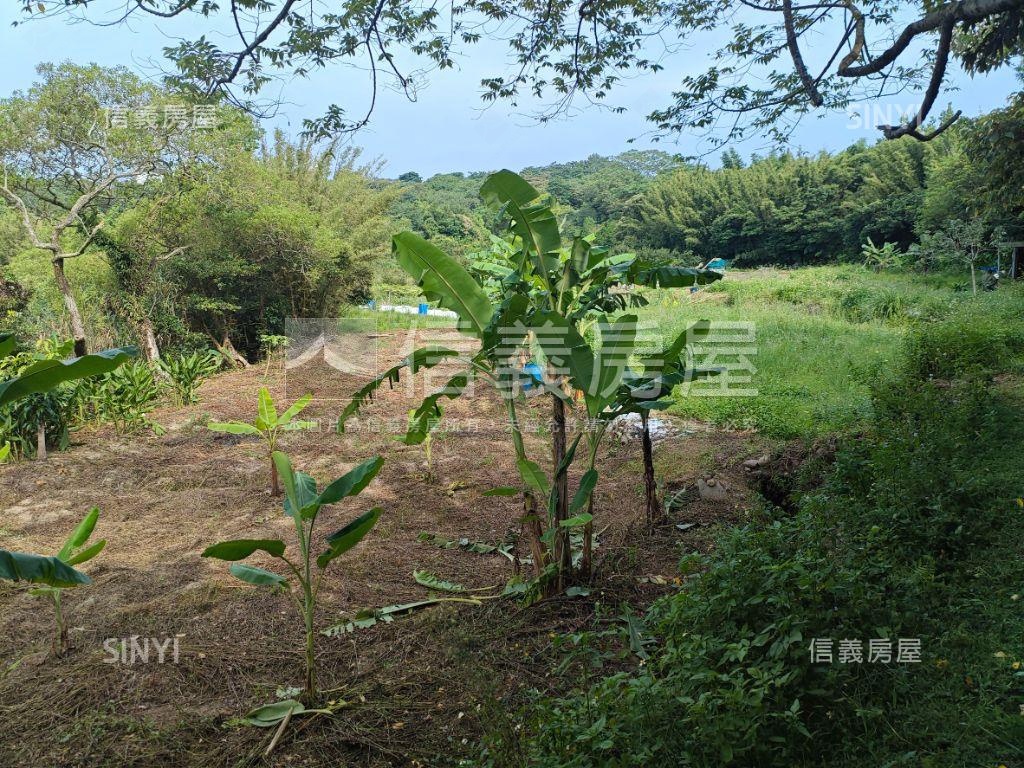 瑞坪路農地有道路房屋室內格局與周邊環境