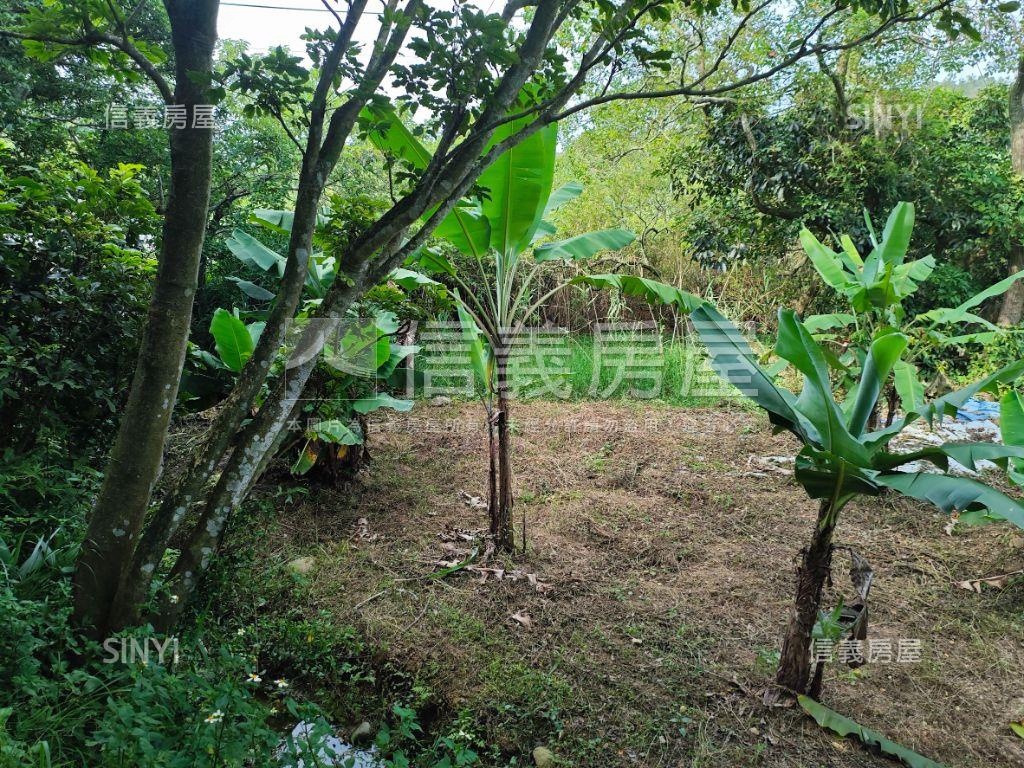 瑞坪路農地有道路房屋室內格局與周邊環境