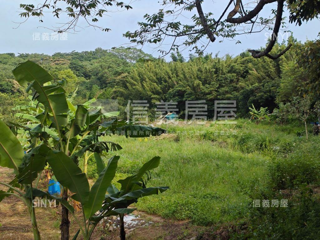 瑞坪路農地有道路房屋室內格局與周邊環境