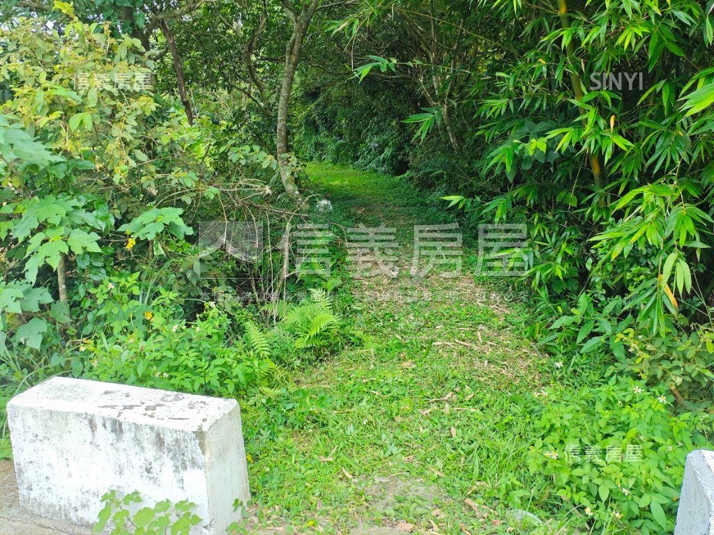 瑞坪路農地有道路房屋室內格局與周邊環境