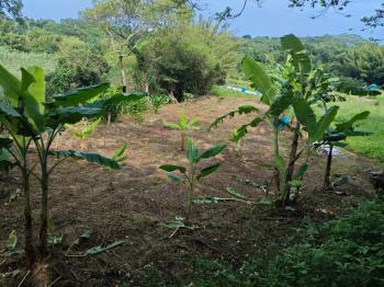 瑞坪路農地有道路